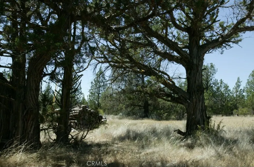 BIG SPRINGS ROAD Montague, CA 96064