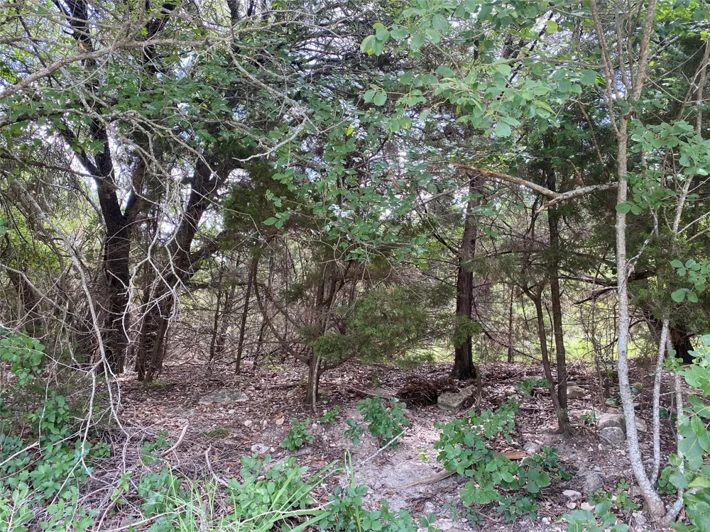 Tx-P7 Meridian, TX 76665