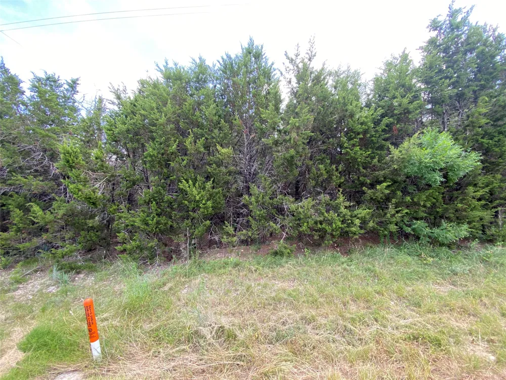 Tx-P7 Meridian, TX 76665