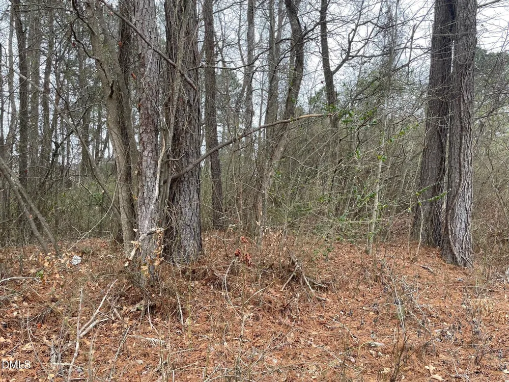 70 Wilson Bunnlevel, NC 28323
