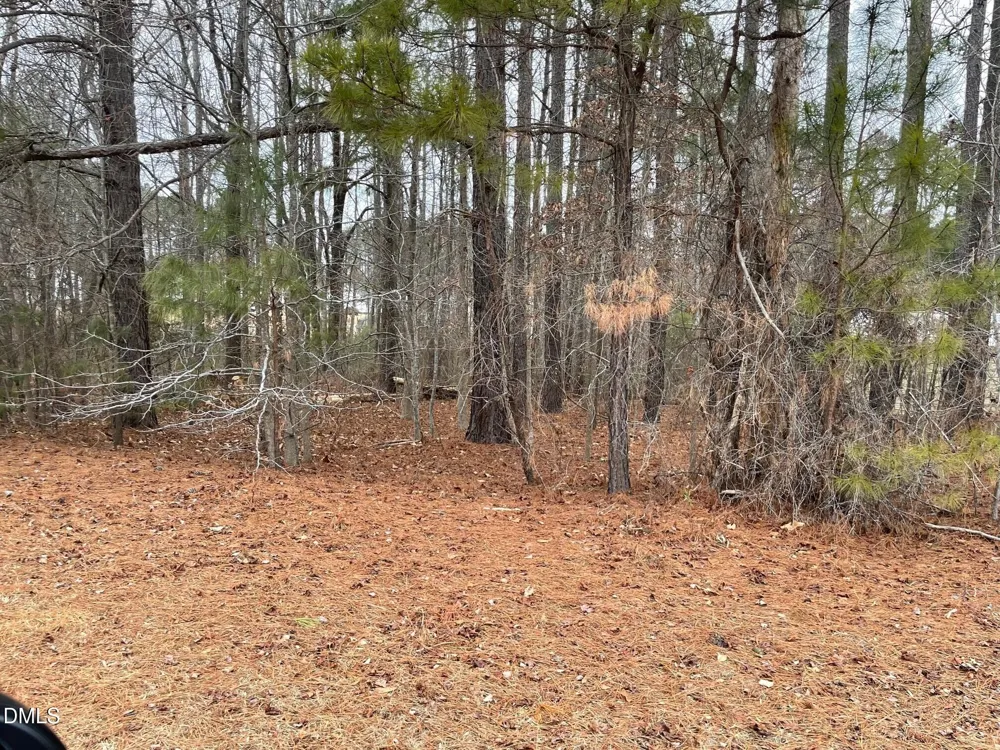 70 Wilson Bunnlevel, NC 28323