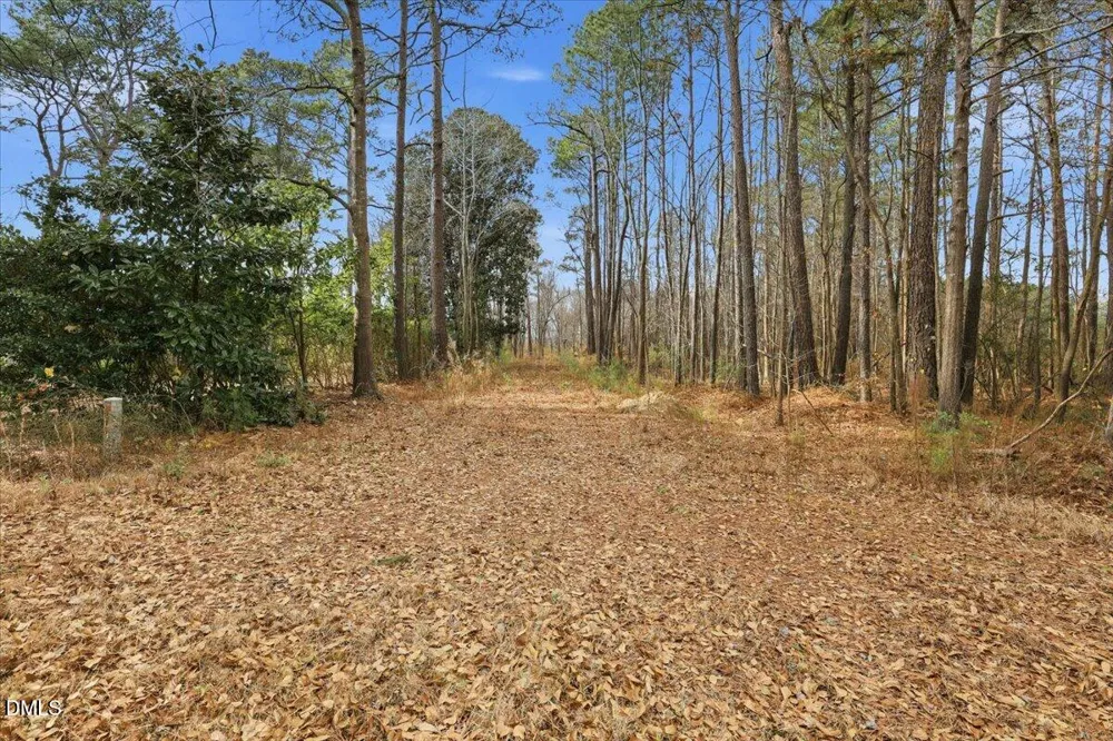 00 E Fayetteville Street Micro, NC 27555