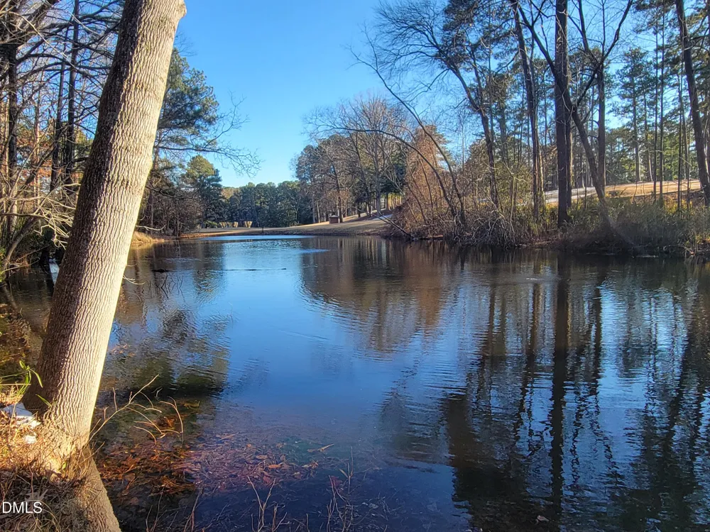 62 Indian Trail Sanford, NC 27332