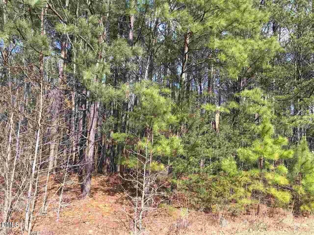 3165 Tump Wilkins Road Stem, NC 27581