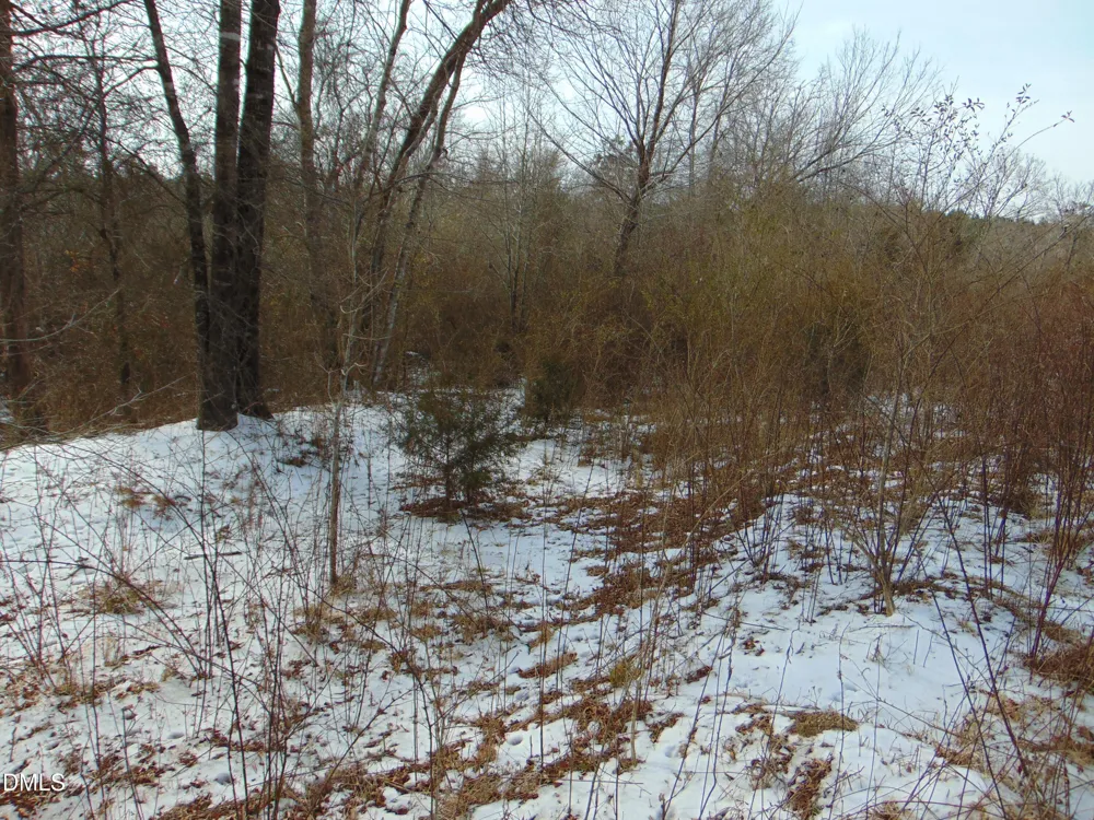 0 Oakley Road Cedar Grove, NC 27231