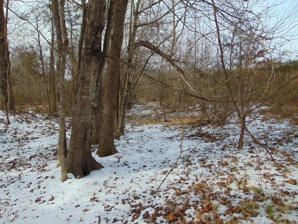 0 Oakley Road Cedar Grove, NC 27231
