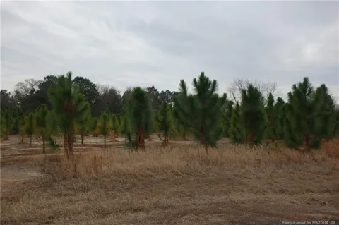 Lot 37 Stuarts Mill Road