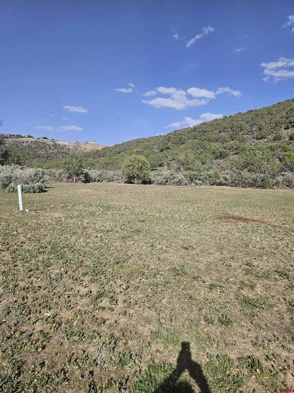 825 SE Pine Street Cedaredge, CO 81413