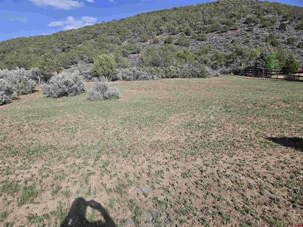 825 SE Pine Street Cedaredge, CO 81413