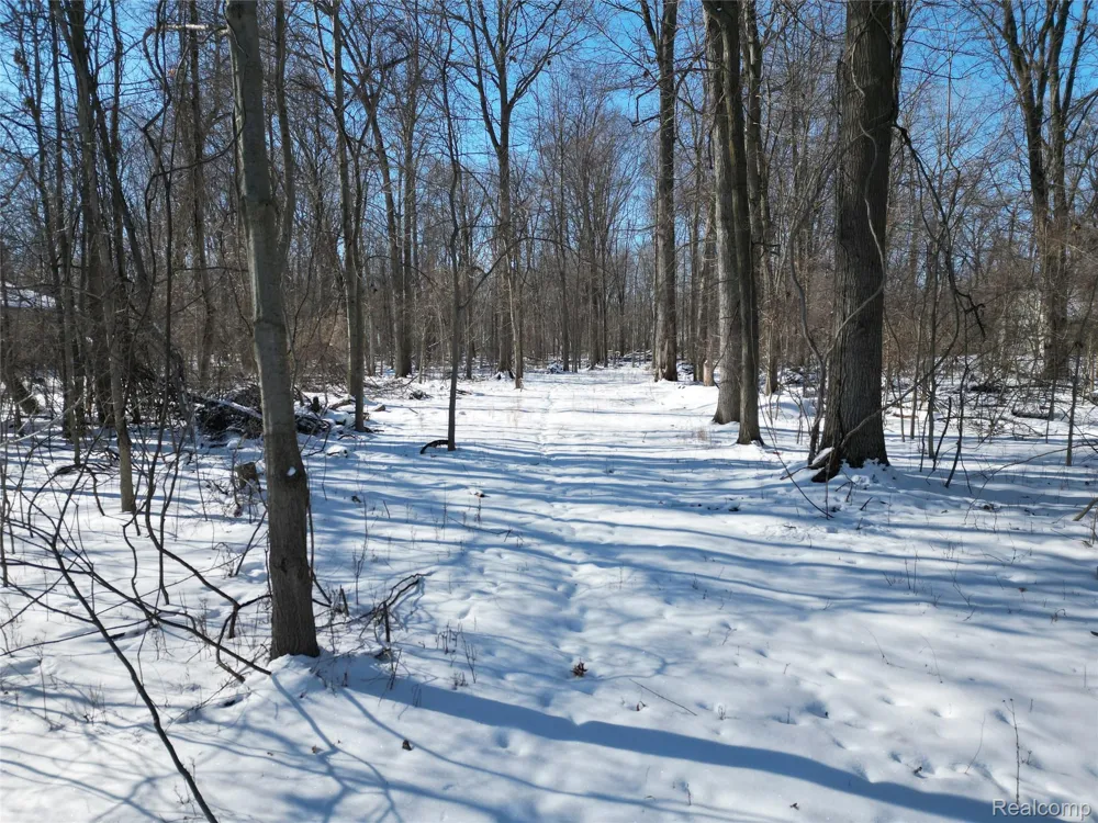197 N Cotter Road Hampton Charter Township, MI 48732