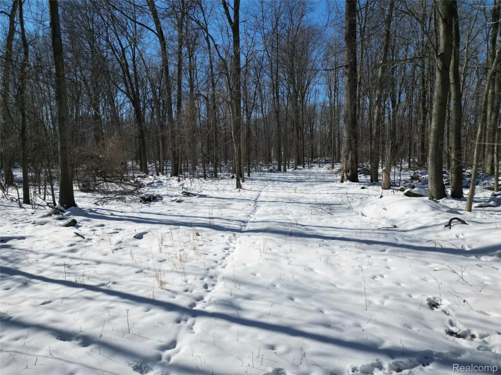 197 N Cotter Road Hampton Charter Township, MI 48732