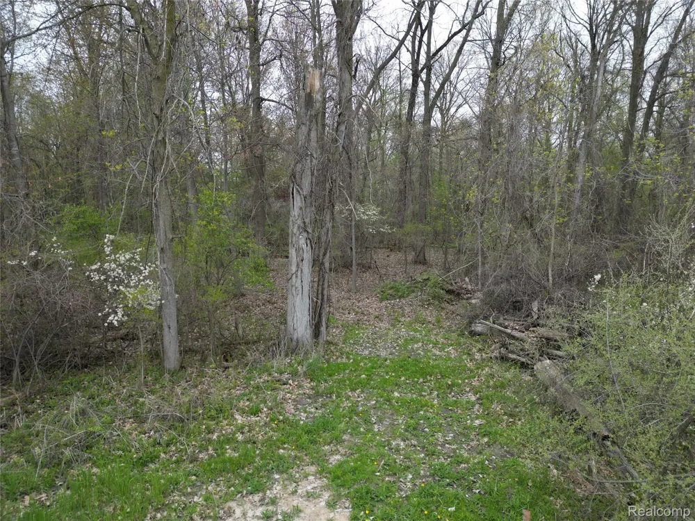 197 N Cotter Road Hampton Charter Township, MI 48732