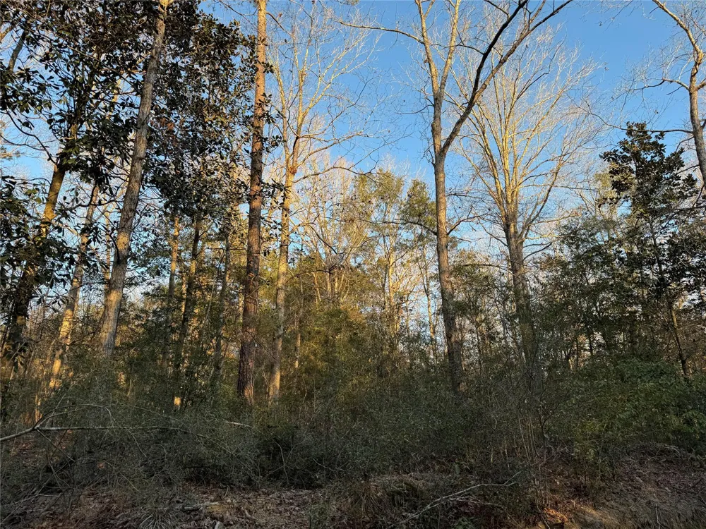 2511 County Road 4280 Woodville, TX 75979