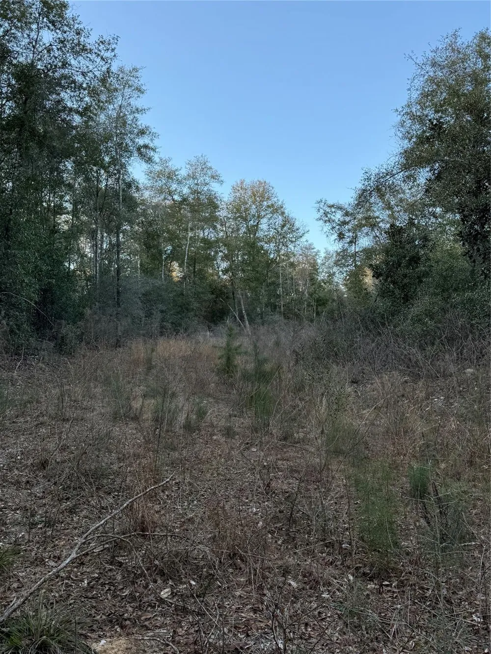 2511 County Road 4280 Woodville, TX 75979
