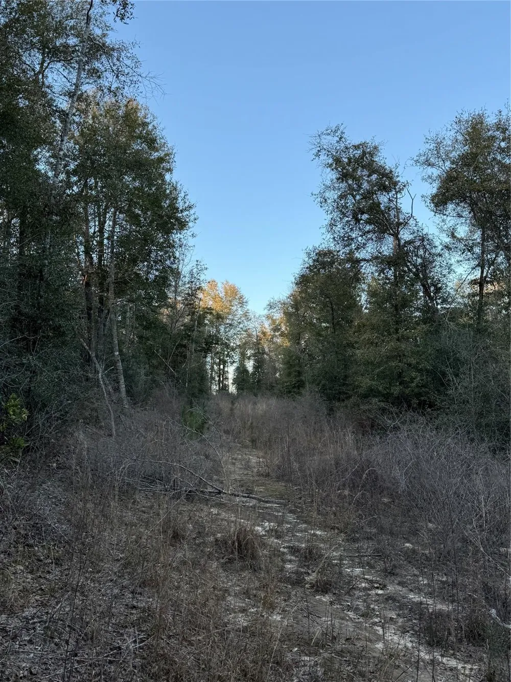 2511 County Road 4280 Woodville, TX 75979