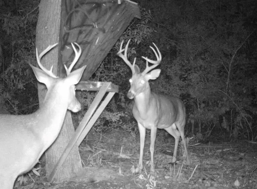 2511 County Road 4280 Woodville, TX 75979