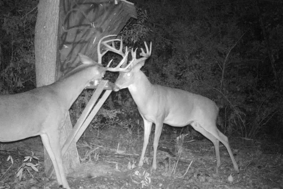 2511 County Road 4280 Woodville, TX 75979