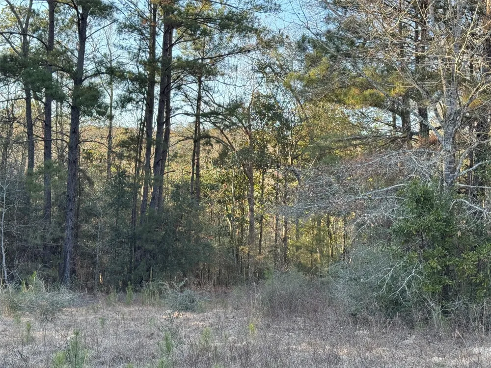 2511 County Road 4280 Woodville, TX 75979