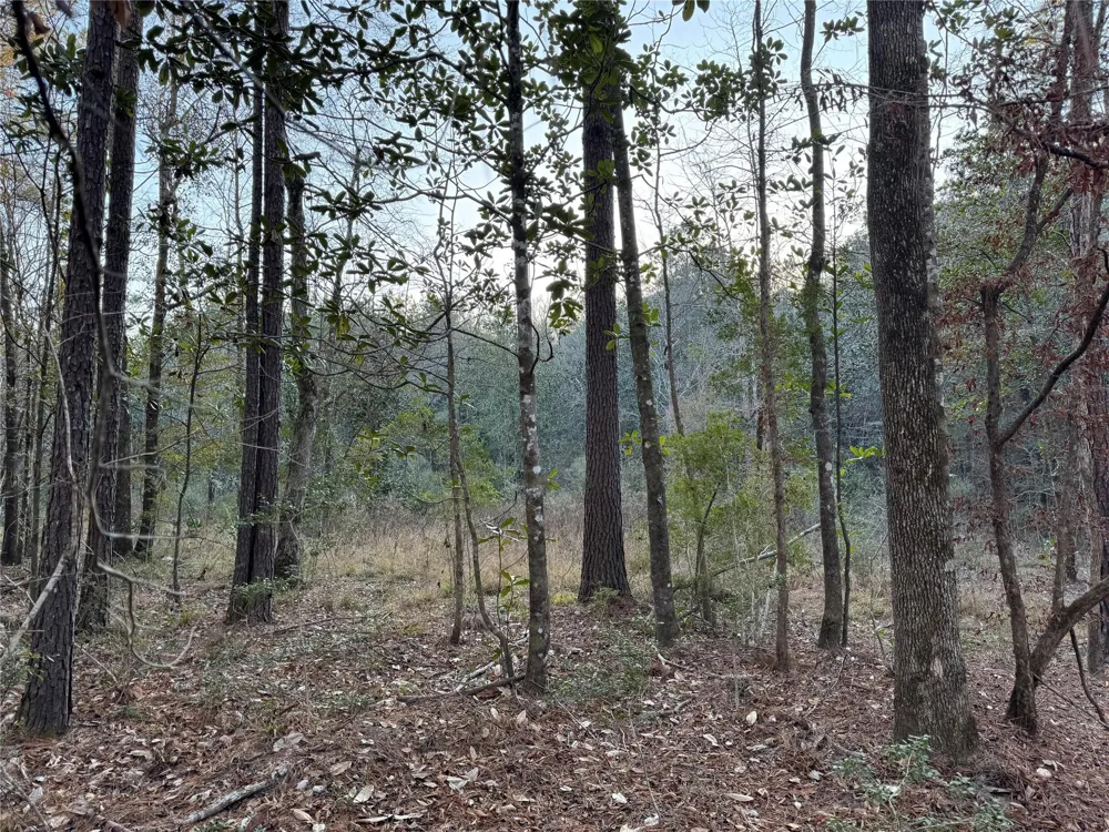 2511 County Road 4280 Woodville, TX 75979