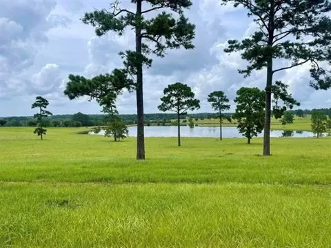 234 Lakeland Ranch