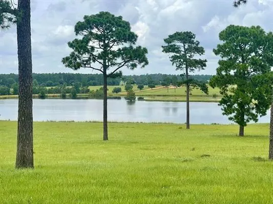 234 Lakeland Ranch Hillister, TX 77624