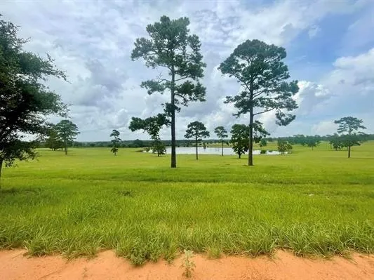234 Lakeland Ranch Hillister, TX 77624