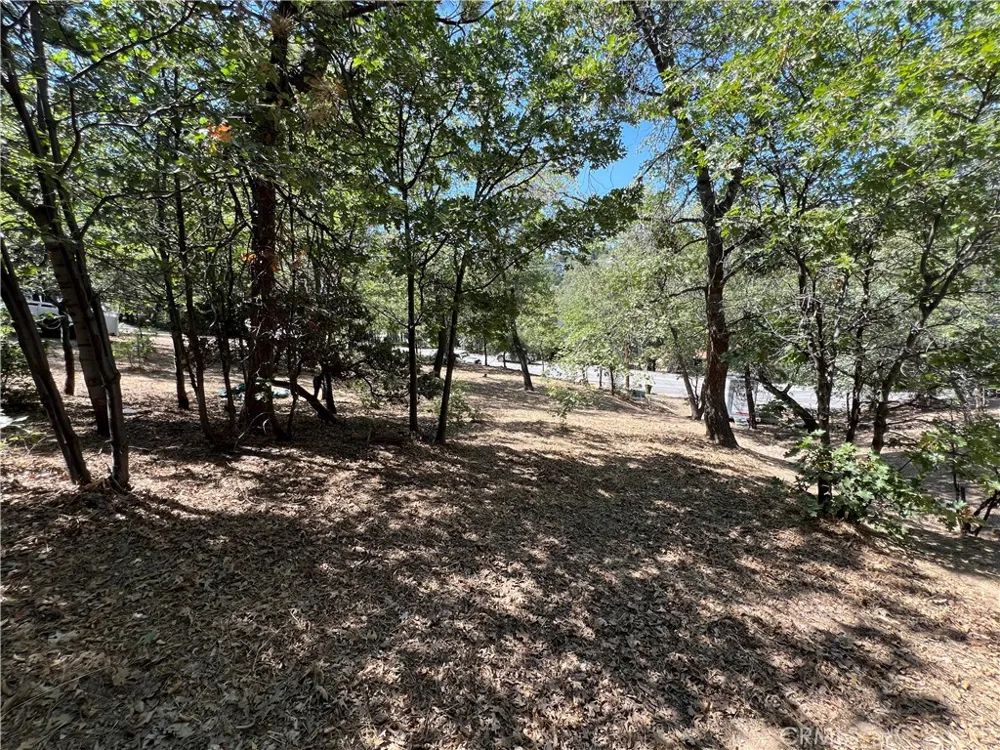 28195 Bay Road Lake Arrowhead, CA 92352