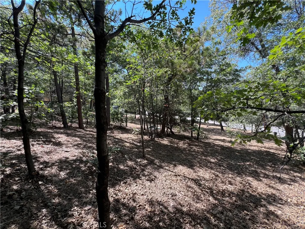 28195 Bay Road Lake Arrowhead, CA 92352