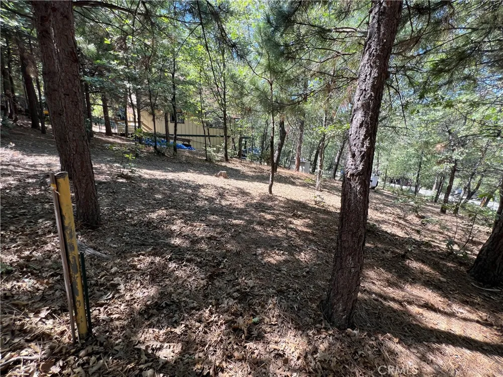 28195 Bay Road Lake Arrowhead, CA 92352