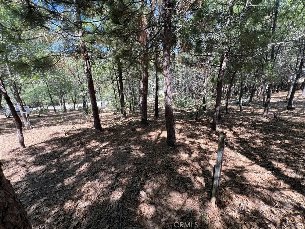 28195 Bay Road Lake Arrowhead, CA 92352