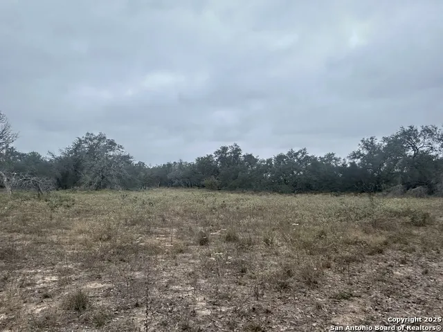 1150 County Road 765 Moore, TX 78057