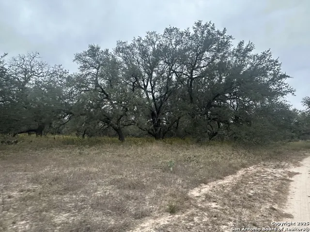 1150 County Road 765 Moore, TX 78057