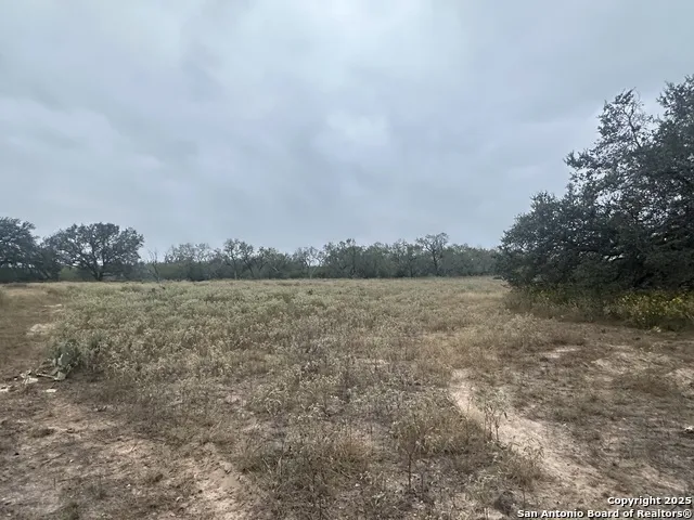 1150 County Road 765 Moore, TX 78057
