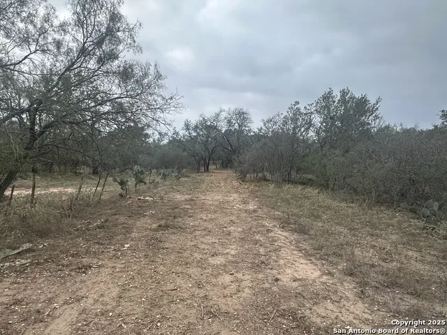 1150 County Road 765 Moore, TX 78057