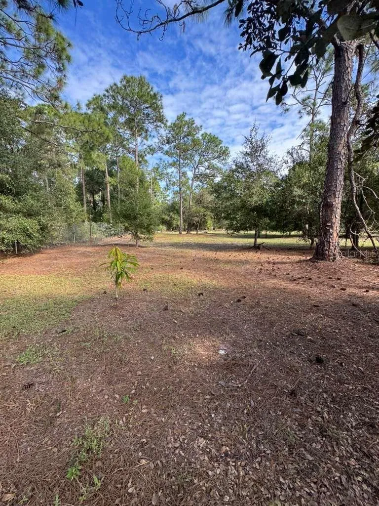 415 VERDA STREET Clewiston, FL 33440