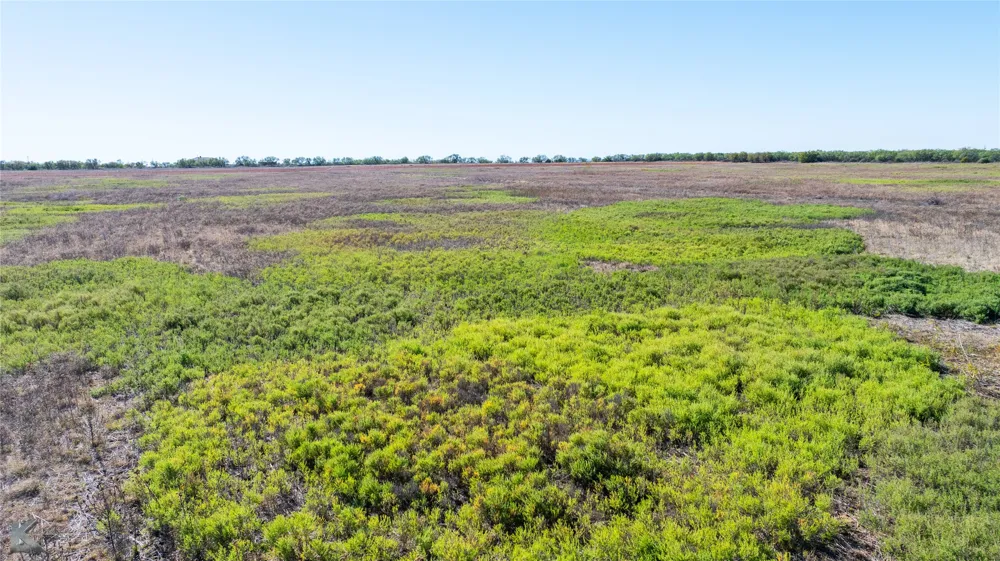 County Road 497 Anson, TX 79501