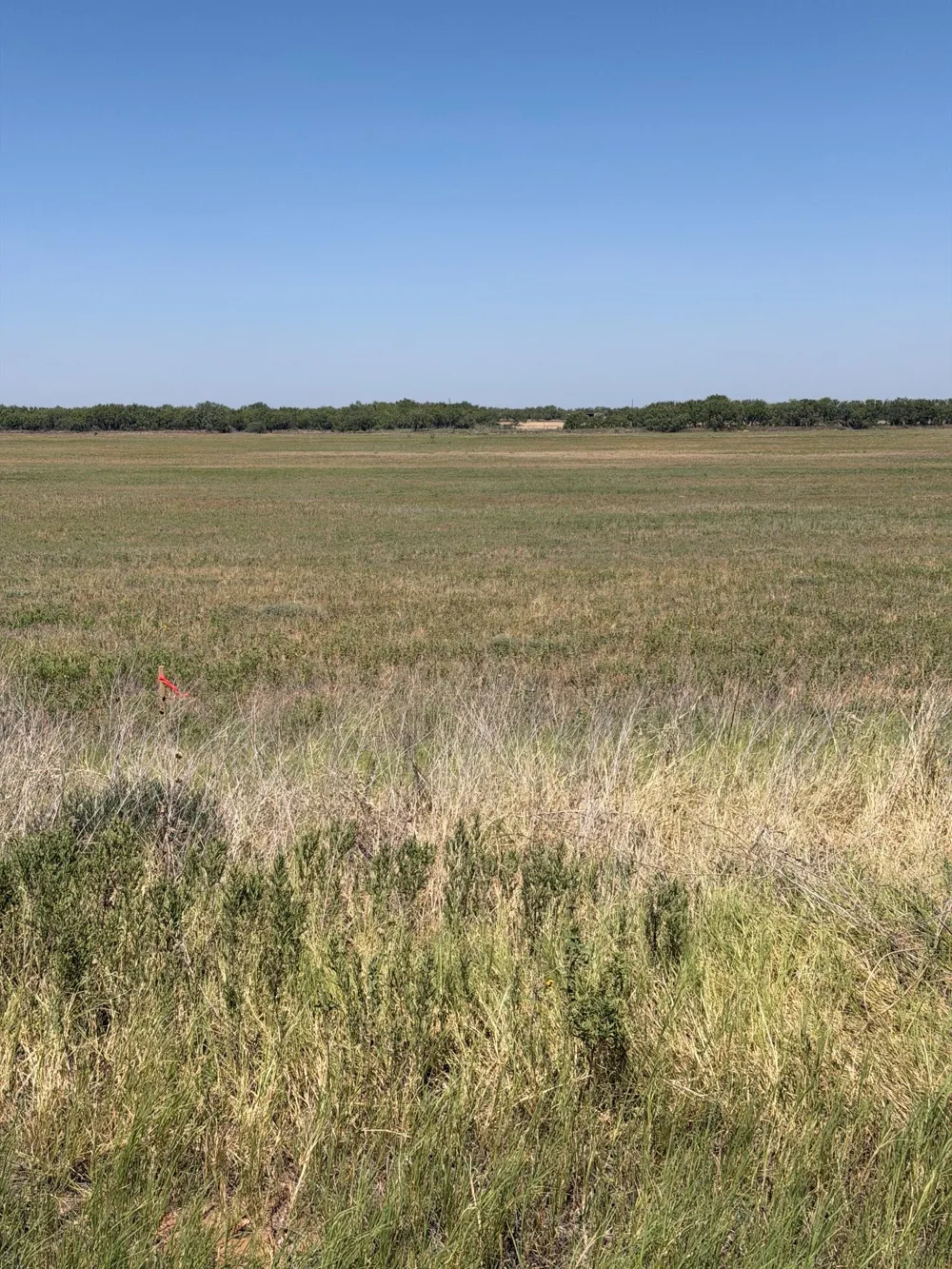 County Road 497 Anson, TX 79501