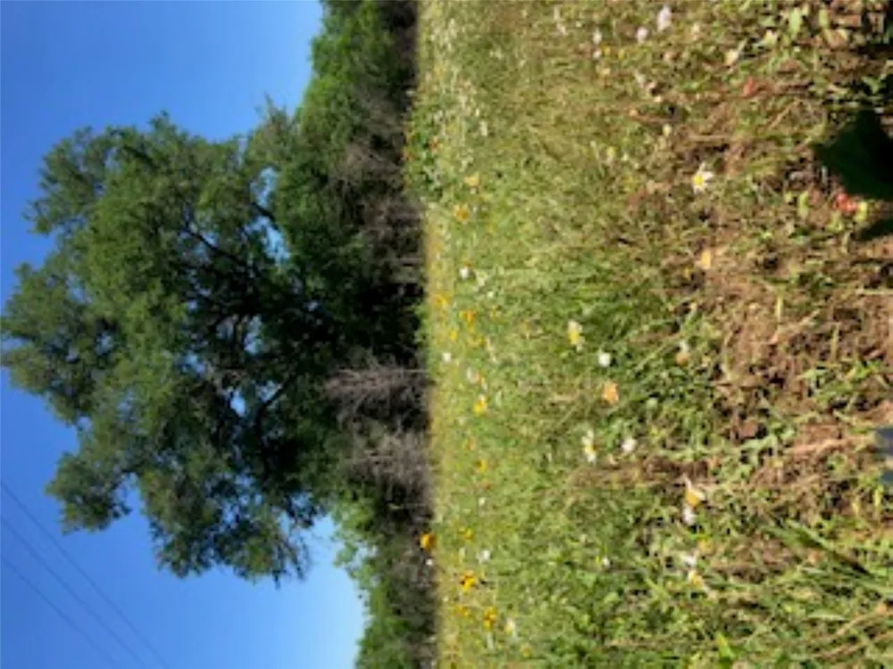 569 TBD Burdette Wells Road Lockhart, TX 78644