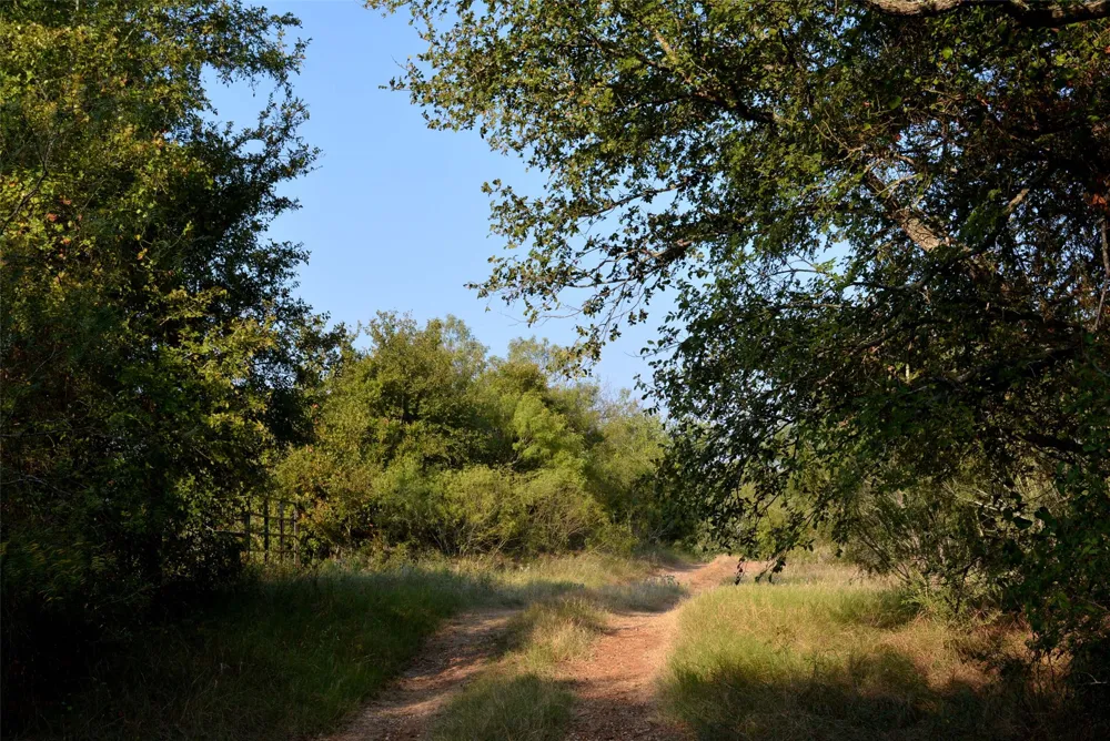 569 TBD Burdette Wells Road Lockhart, TX 78644