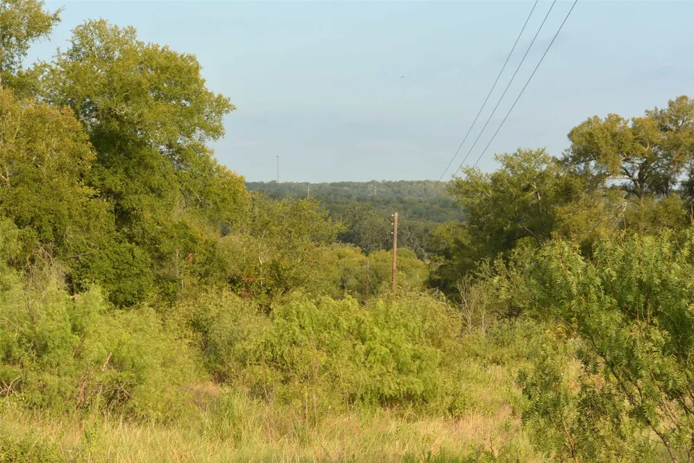 569 TBD Burdette Wells Road Lockhart, TX 78644