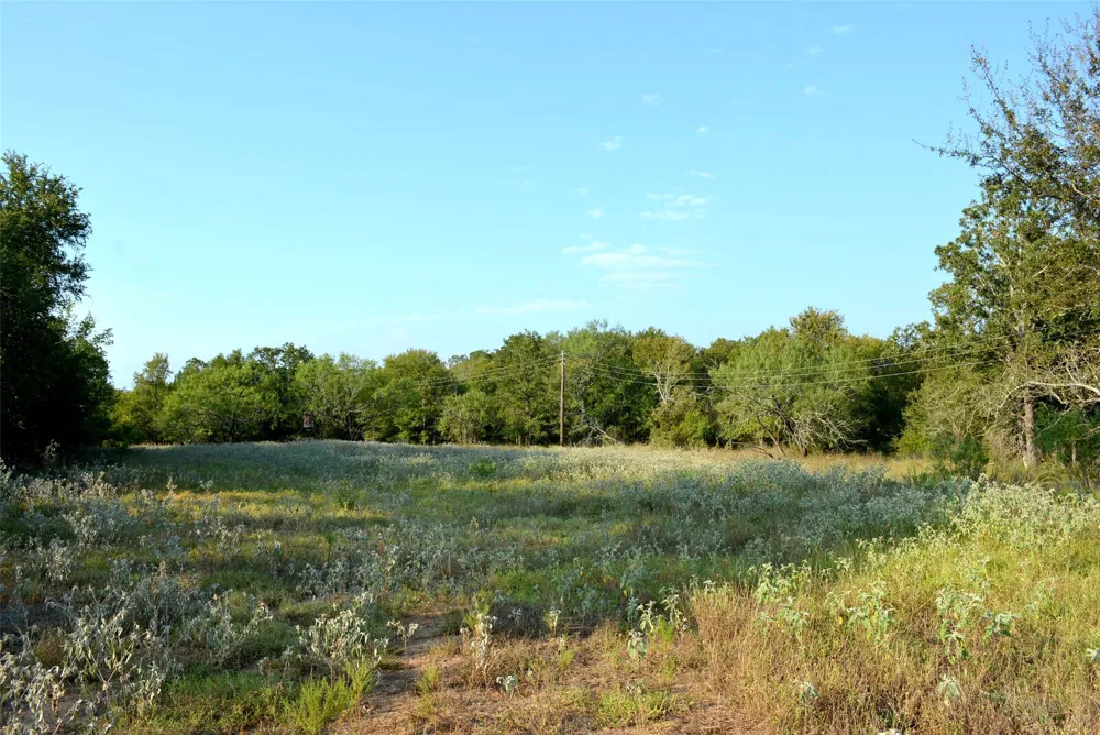 569 TBD Burdette Wells Road Lockhart, TX 78644