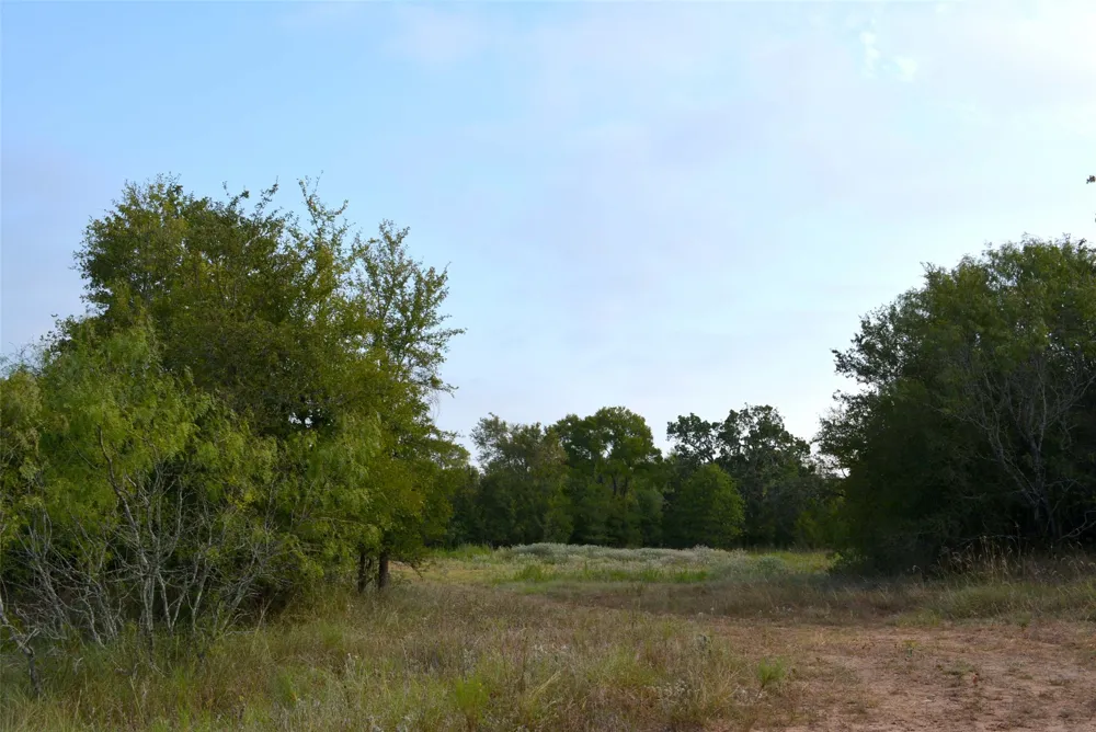 569 TBD Burdette Wells Road Lockhart, TX 78644