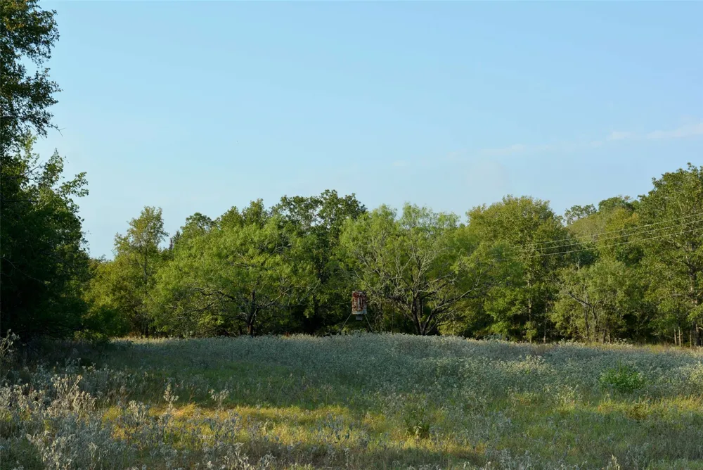 569 TBD Burdette Wells Road Lockhart, TX 78644