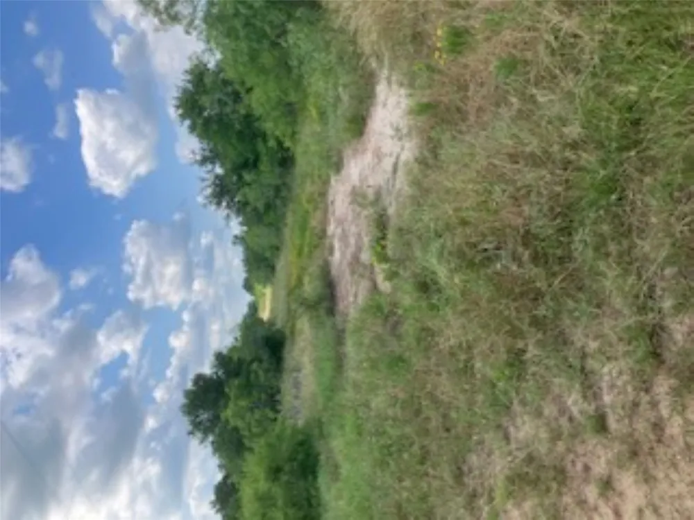 569 TBD Burdette Wells Road Lockhart, TX 78644