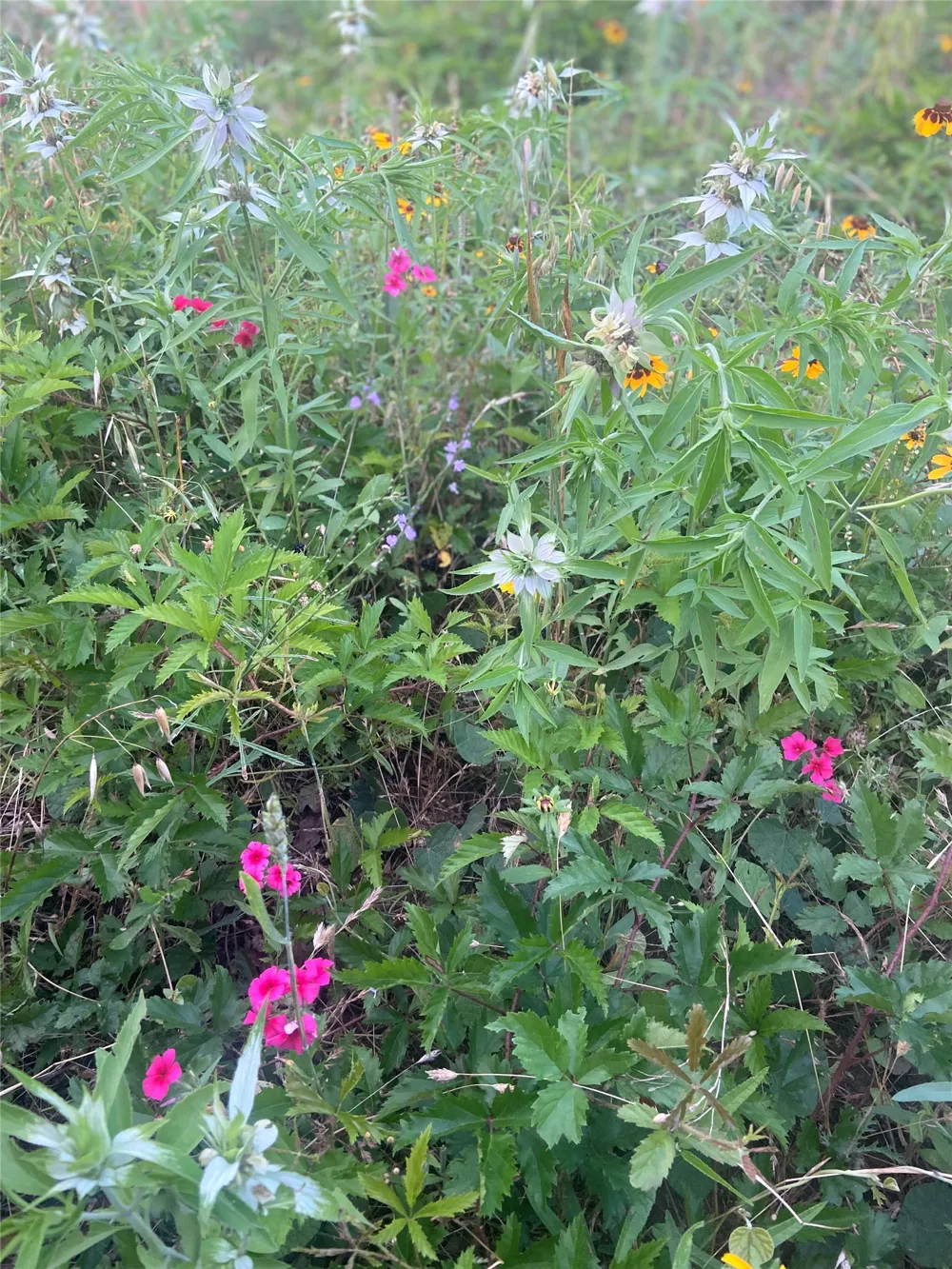 569 TBD Burdette Wells Road Lockhart, TX 78644