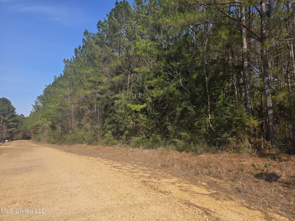 0 Wildwood Trail Meadville, MS 39653