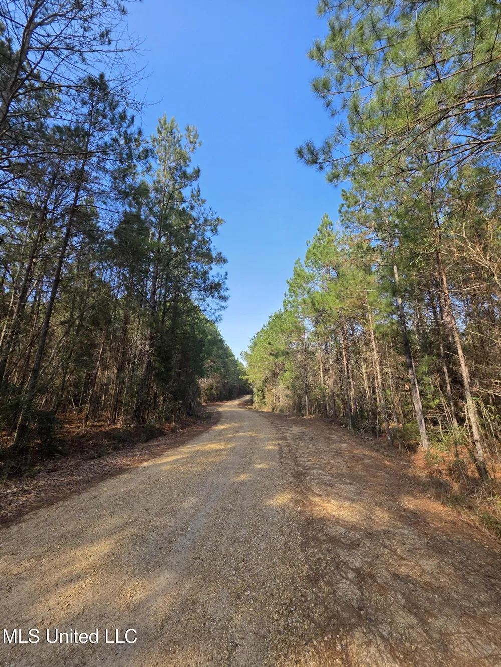 0 Wildwood Trail Meadville, MS 39653