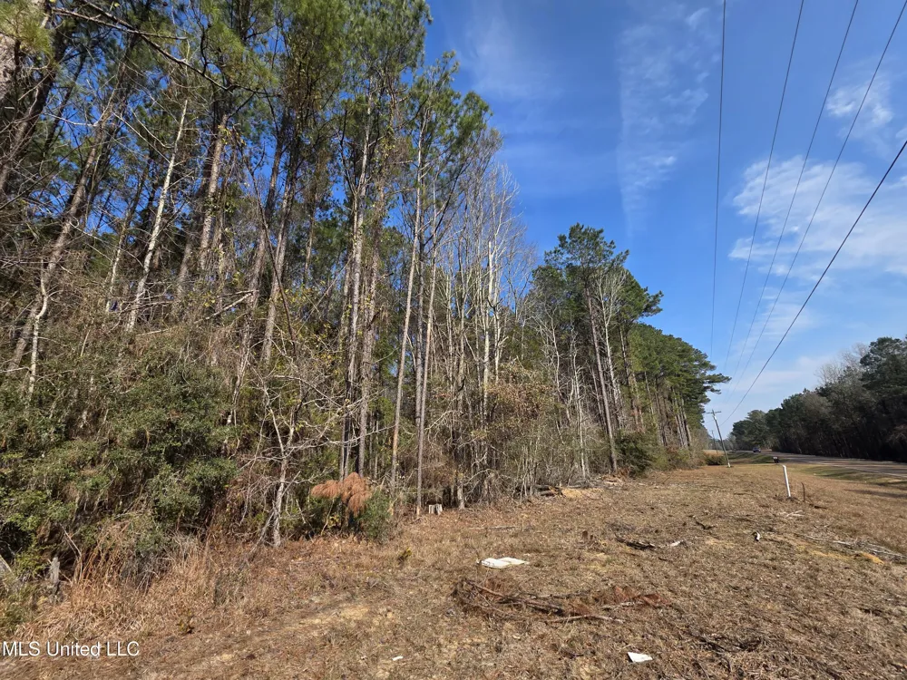 0 Wildwood Trail Meadville, MS 39653