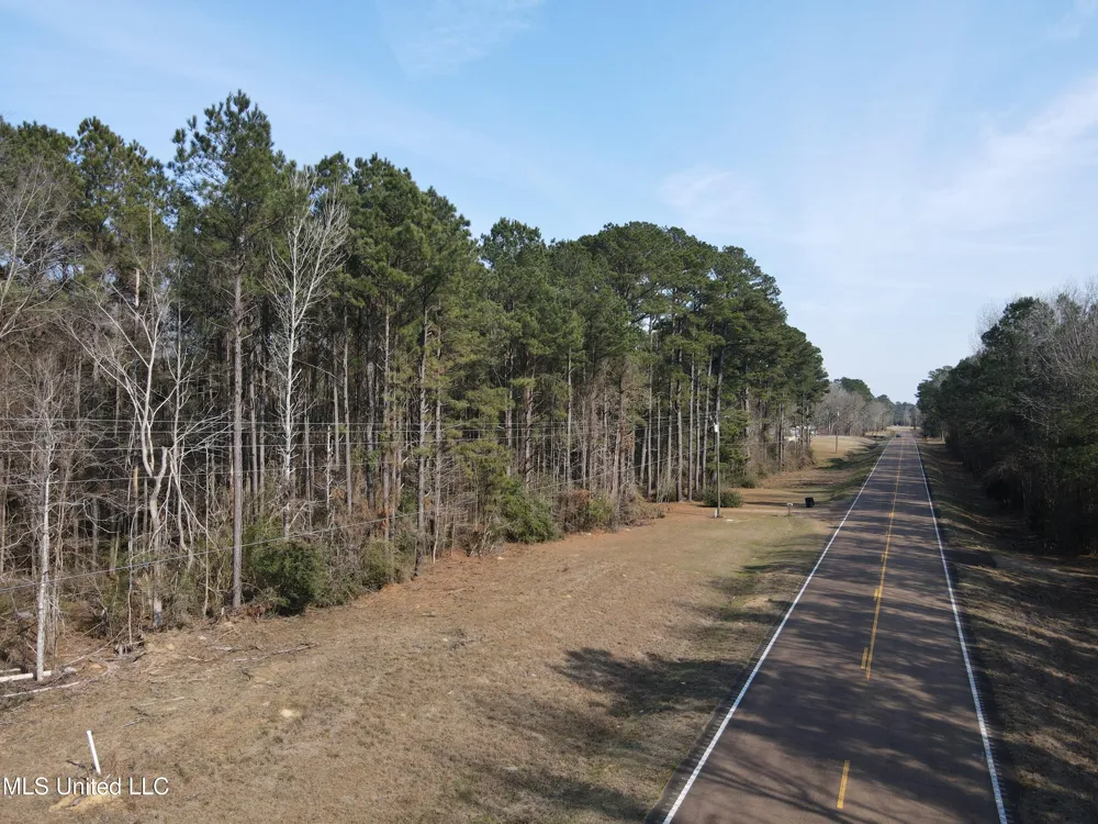 0 Wildwood Trail Meadville, MS 39653