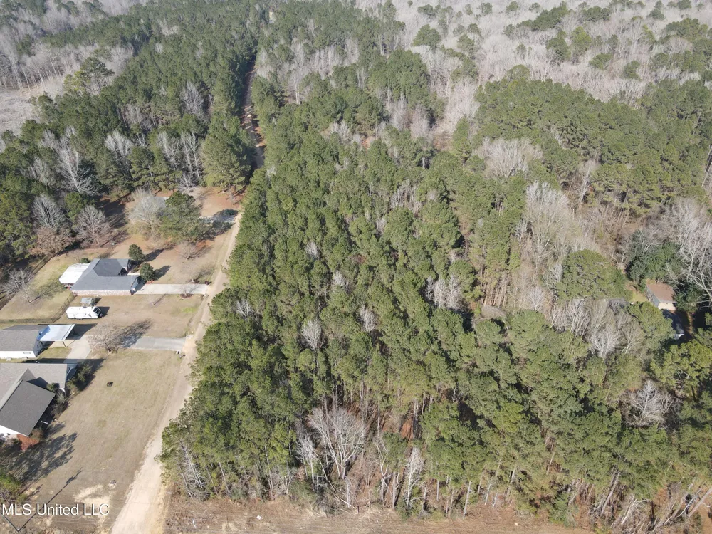 0 Wildwood Trail Meadville, MS 39653